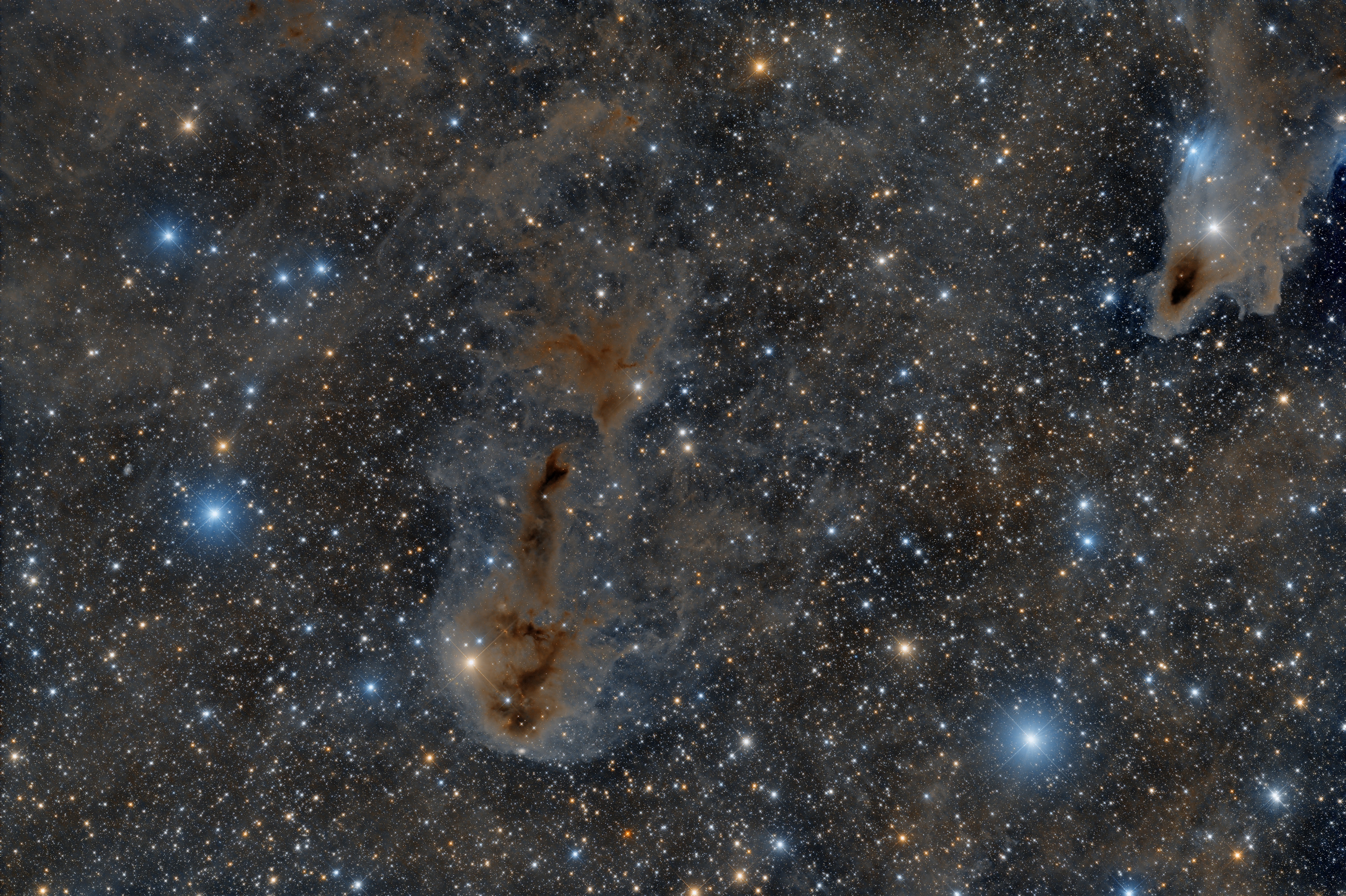 Fish_2024_el