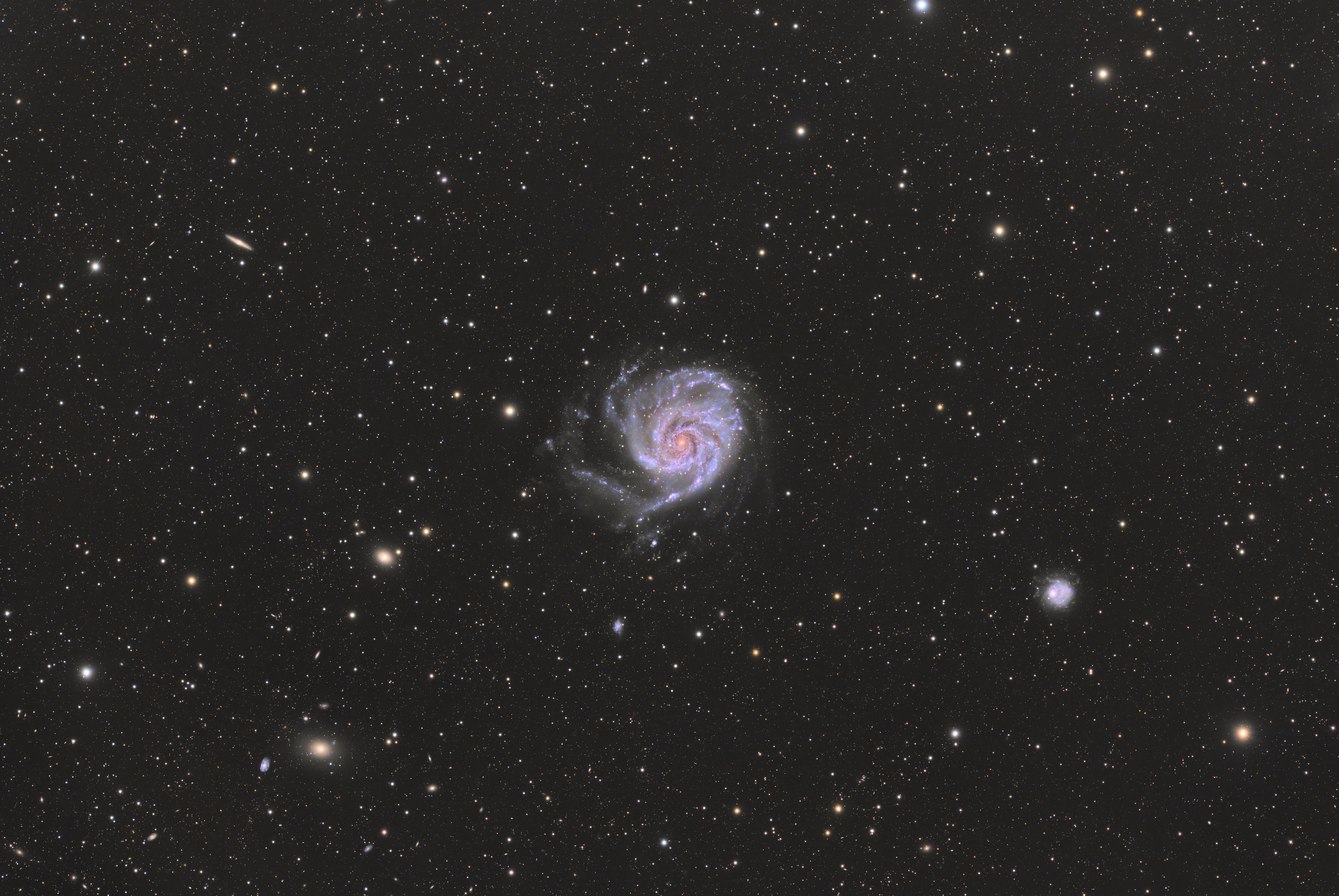 M101-2026