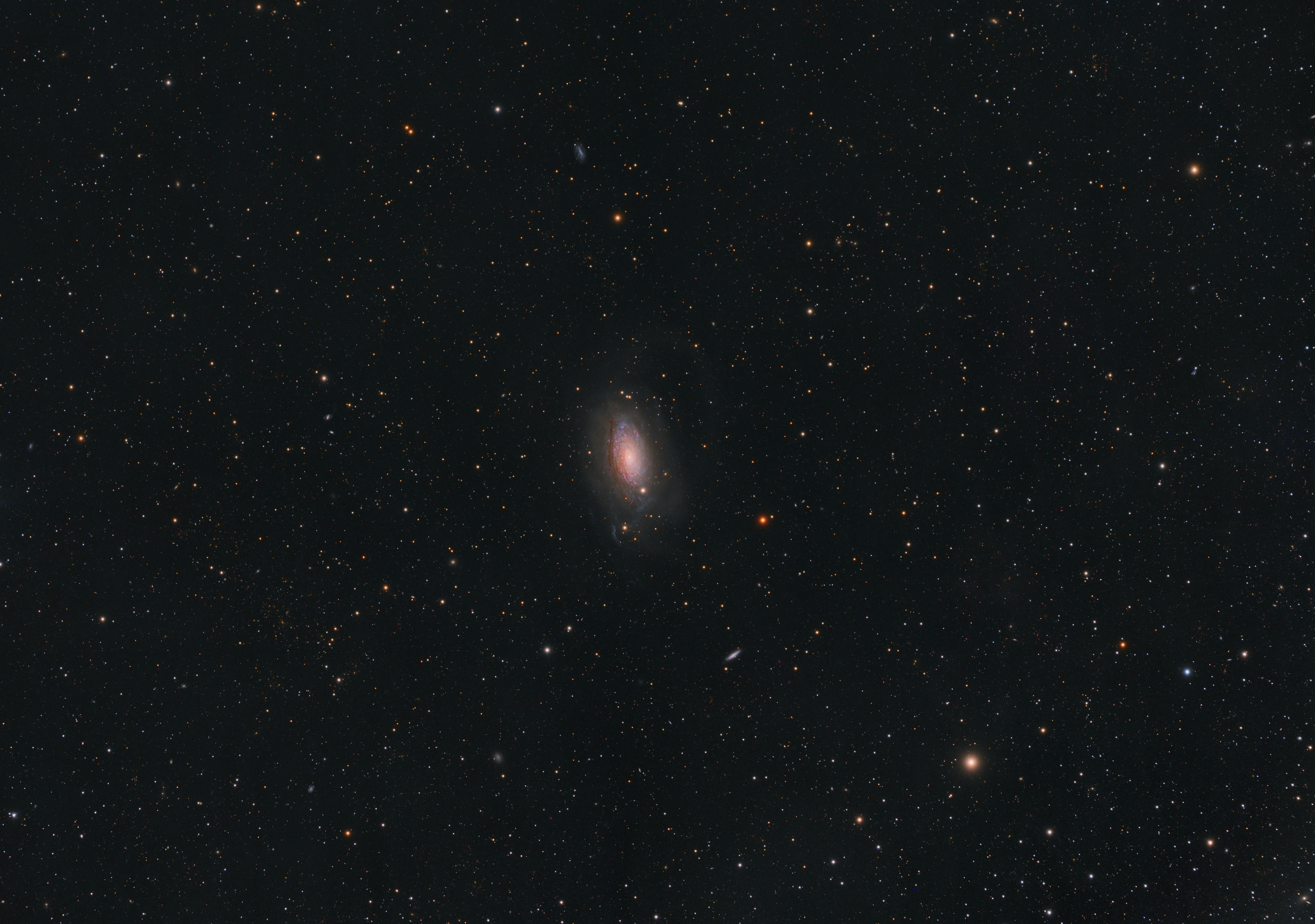 M63aDrobot_1