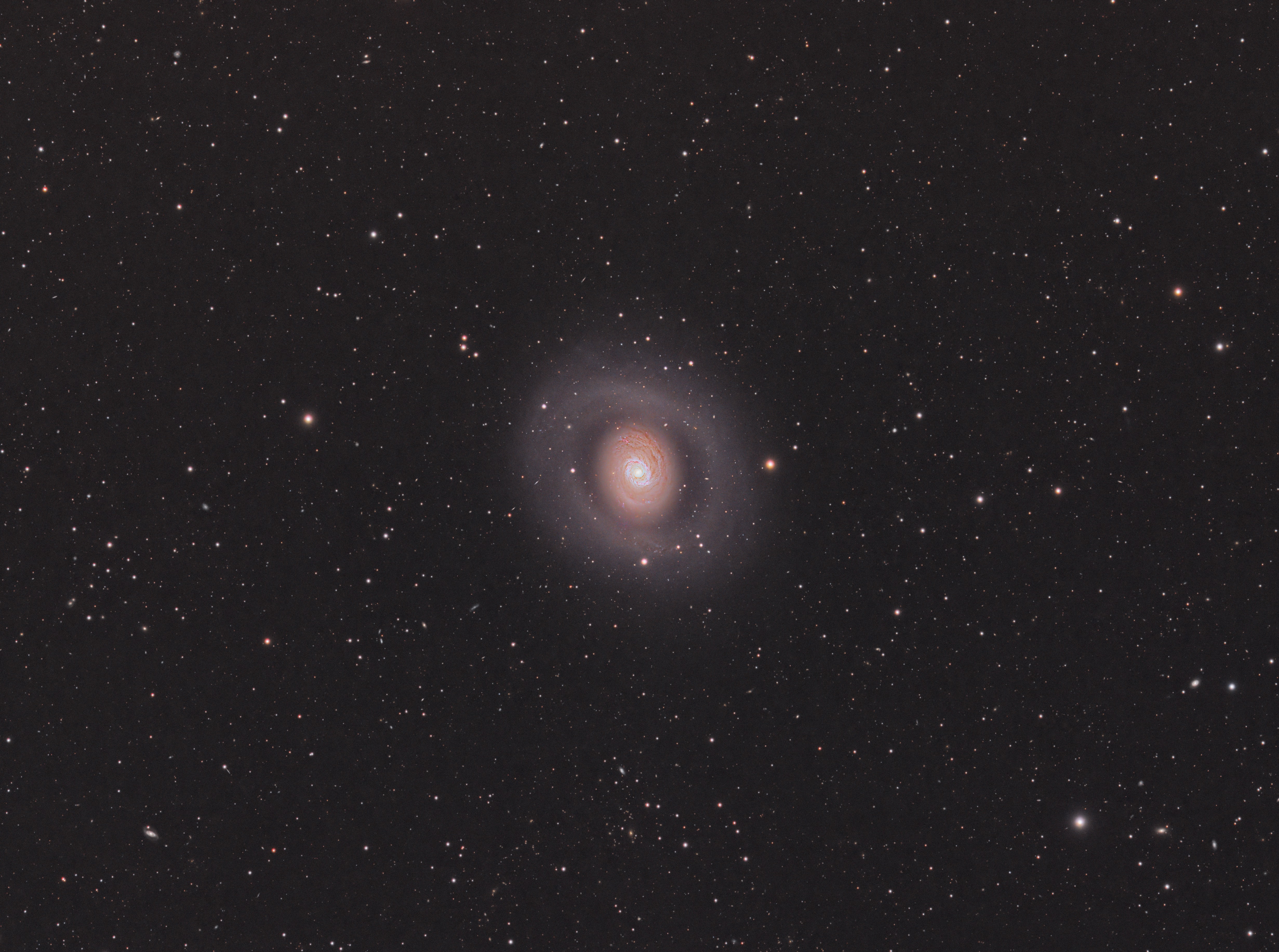 M94-1