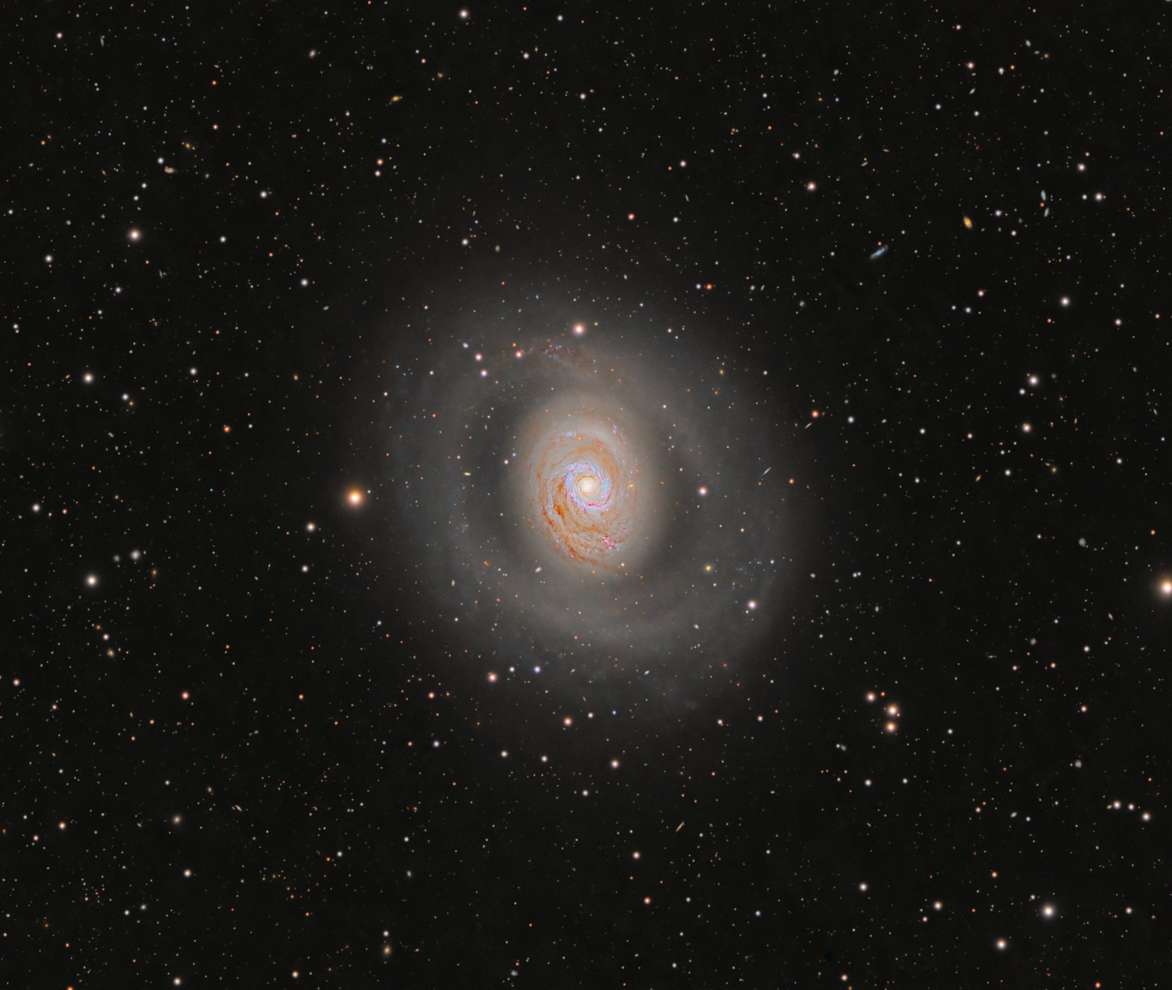 M94-crop7-100-2