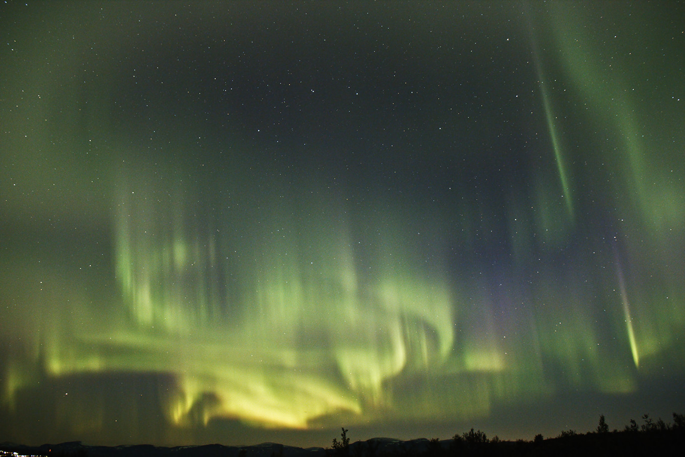 PZ2019-Abisko4
