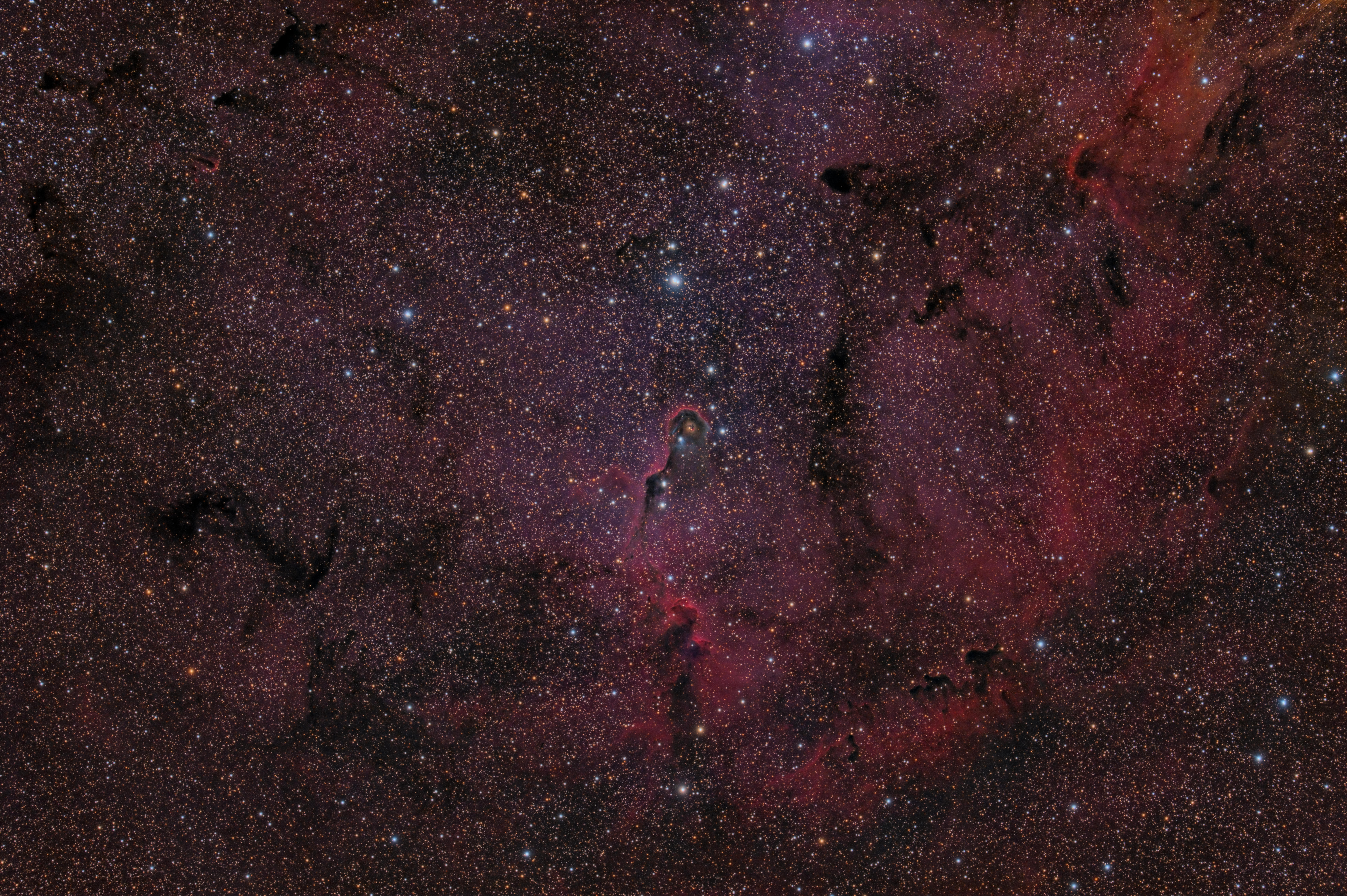 ic1396-7356x4853-223snFF2