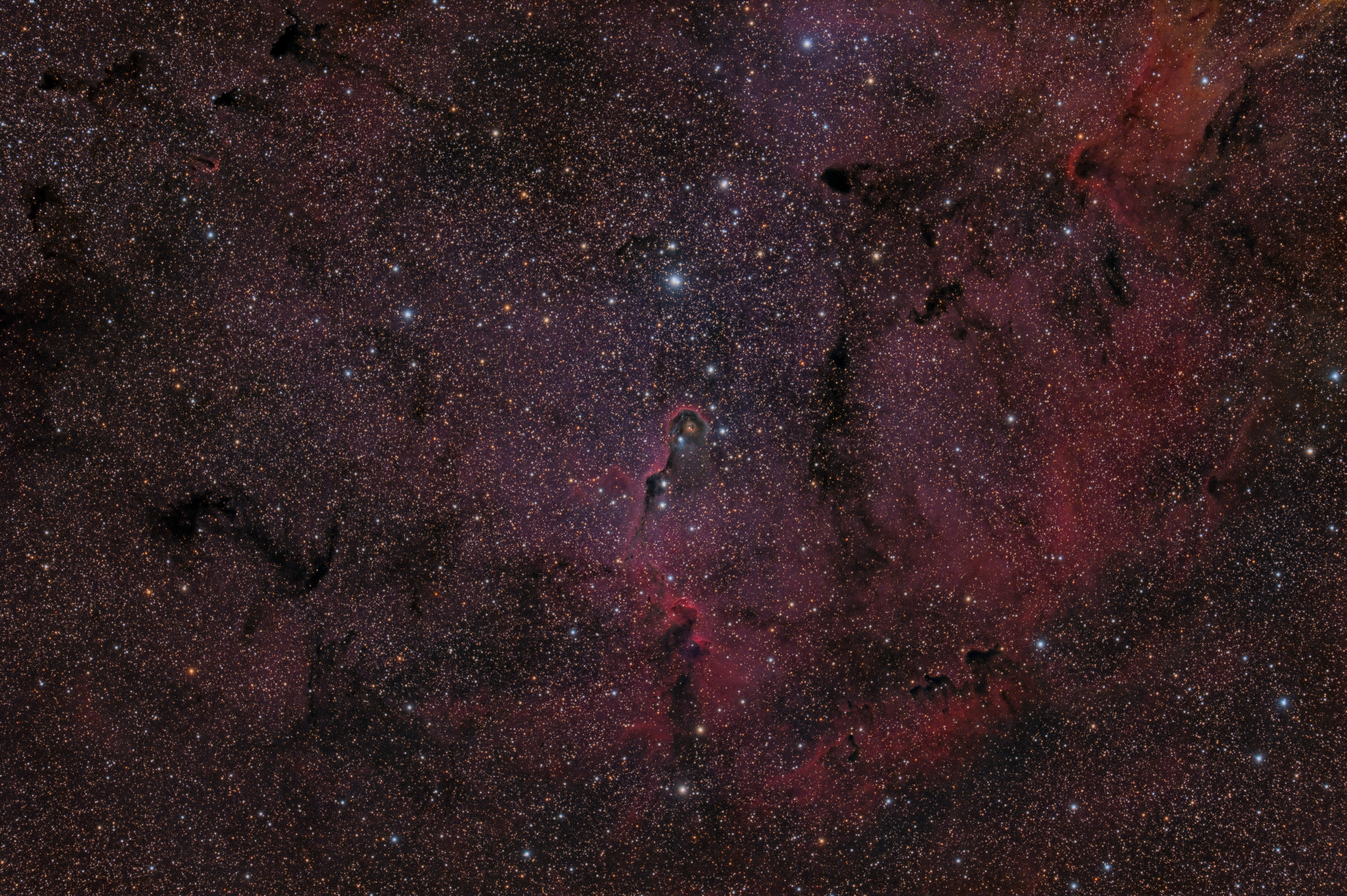 ic1396-7356x4853-223snFF3