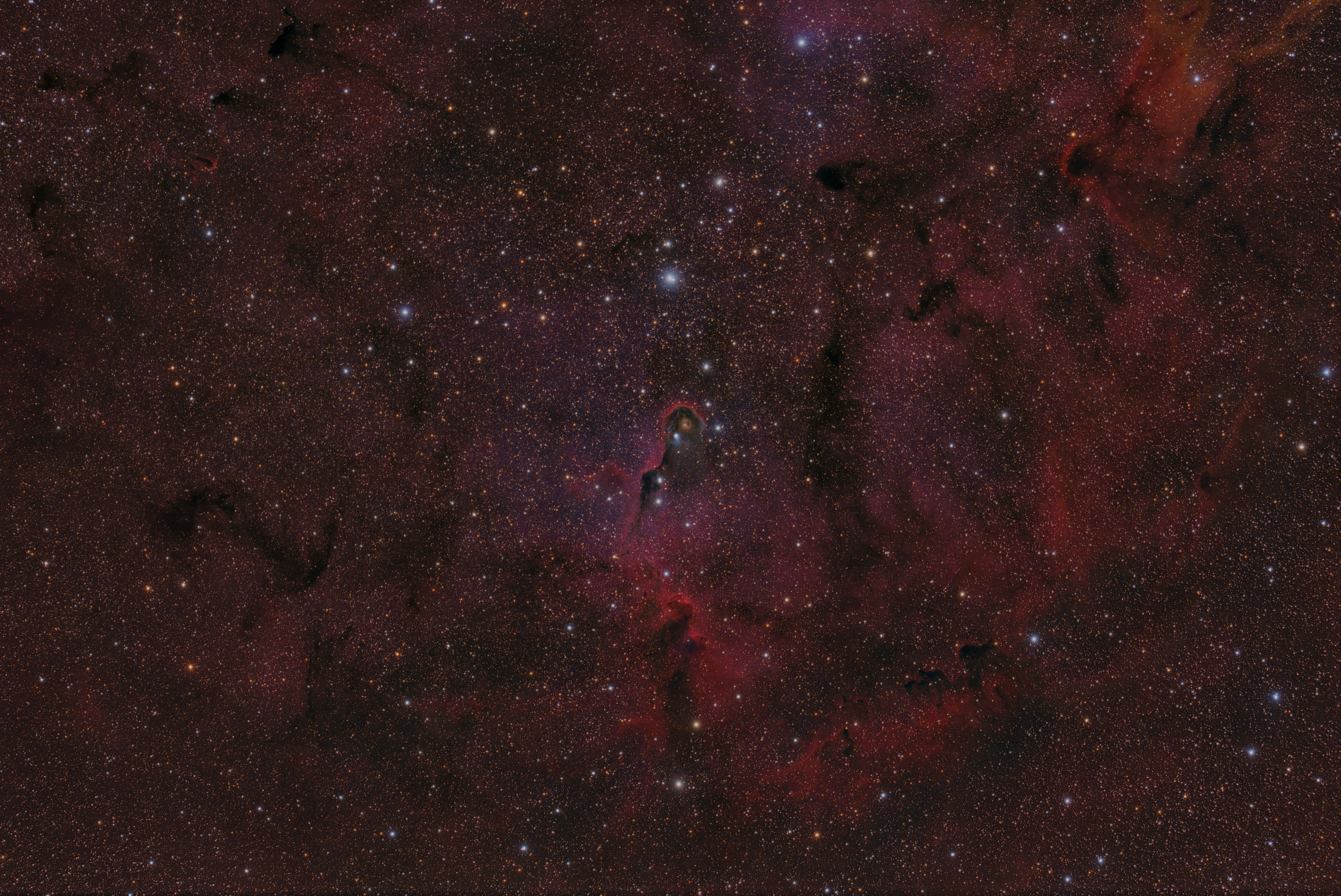 ic1396-7376x4928-FF