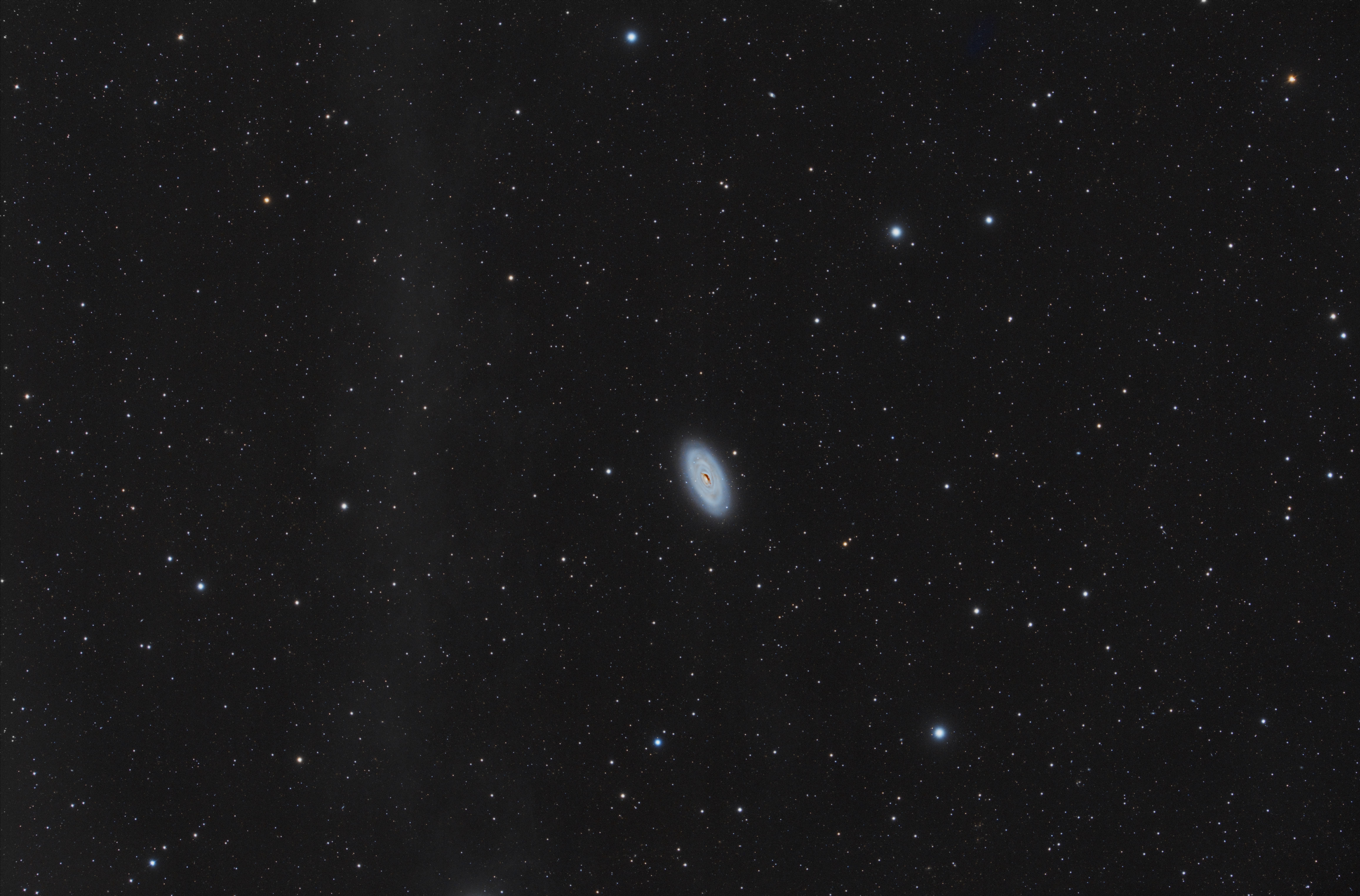 m64-ff