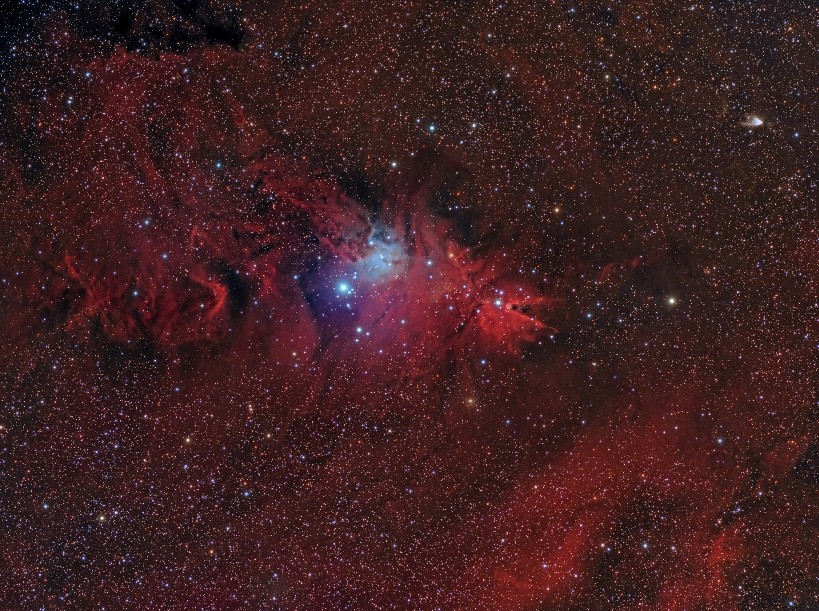 ngc2264