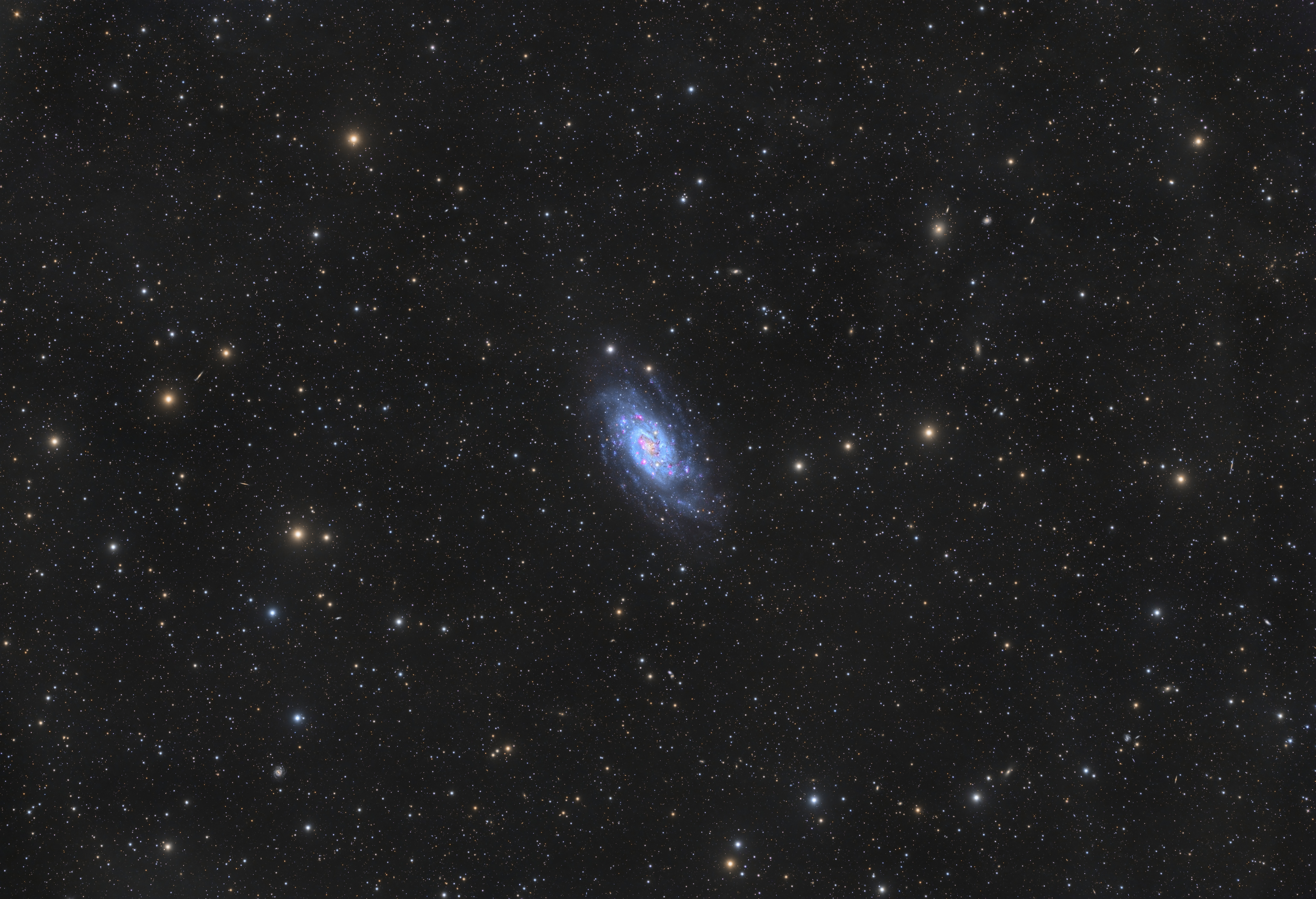 ngc2403-final