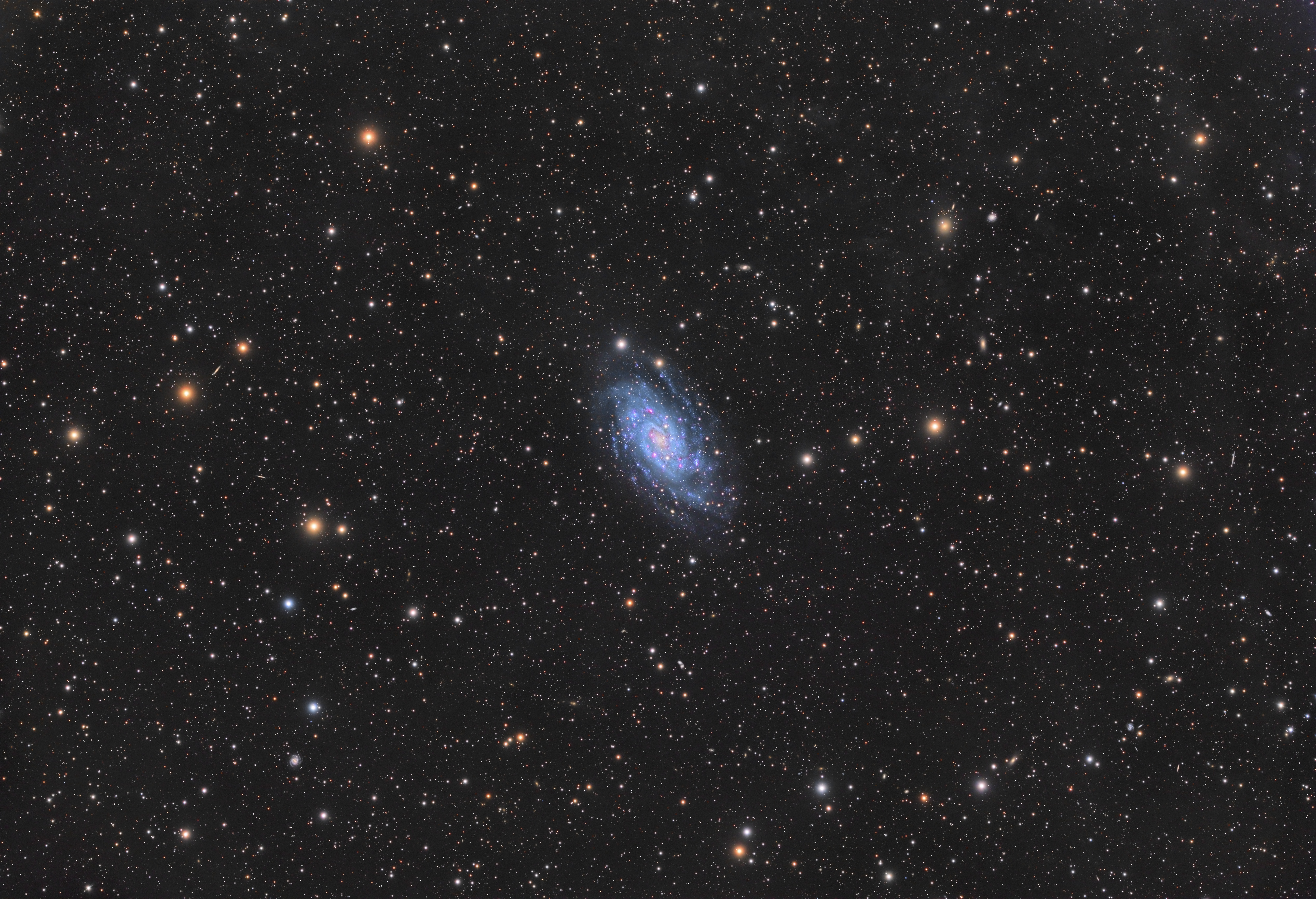 ngc2403