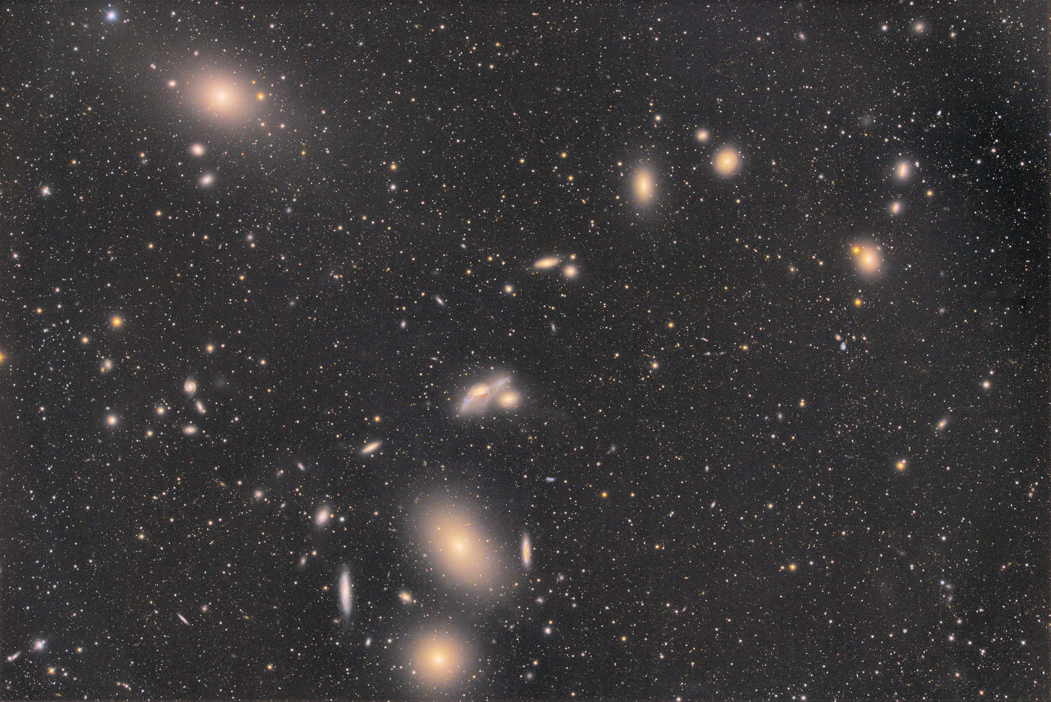 retizek-231sn